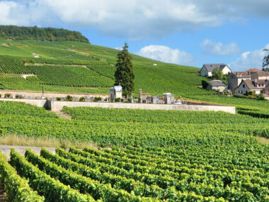 Champagne region bil Frankrike Paris reise tips guide