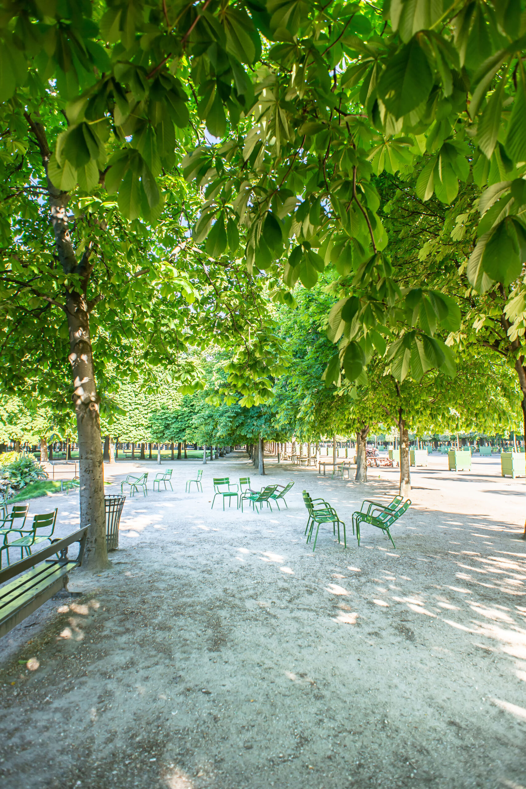 Jardin de Tuileries-parken Paris Parc grontomrade stoler stier benker park